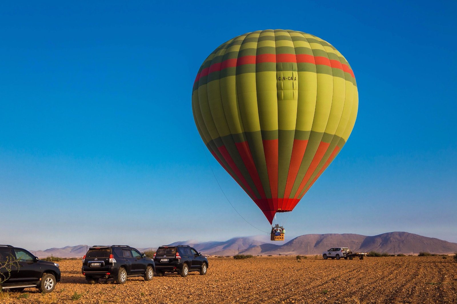 Multiple hot air balloons in morning sky