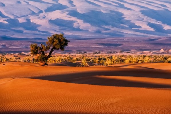 Erg Chigaga dunes Morocco