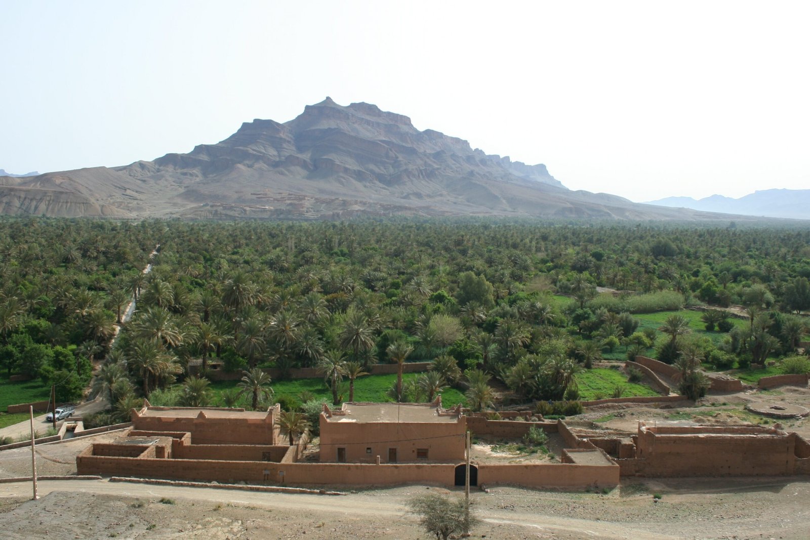 Draa Valley palm groves landscape