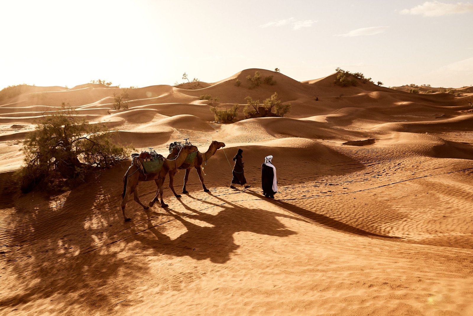 11-Day Casablanca to Marrakech Desert Tour